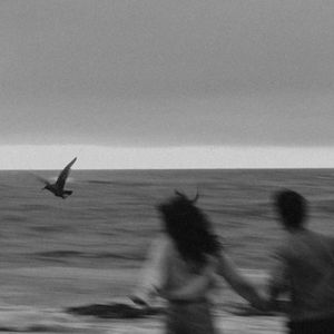 免费在线观看AV网站
