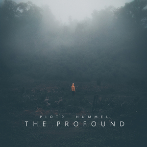 免费在线观看AV网站
